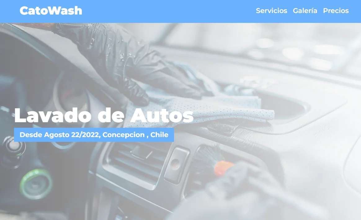 CatoWash - Versión Desktop